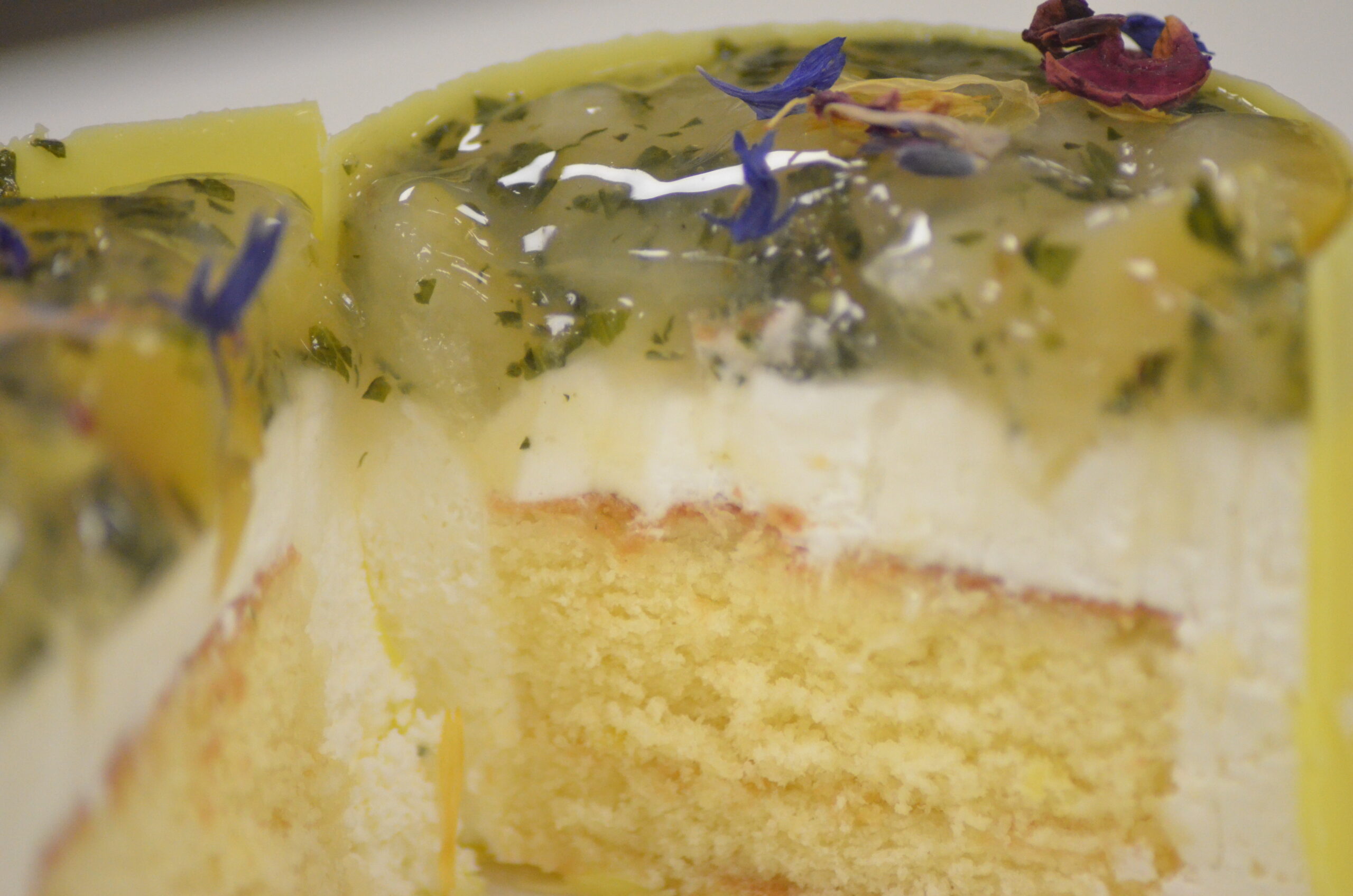 plume patisserie arcachon