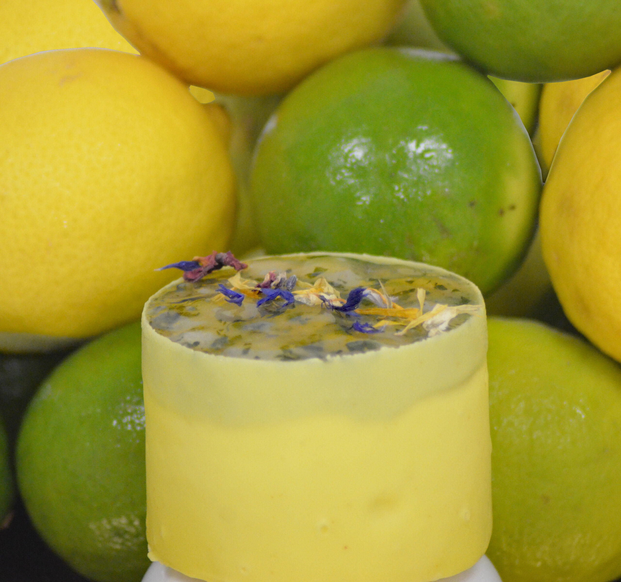 plume patisserie arcachon